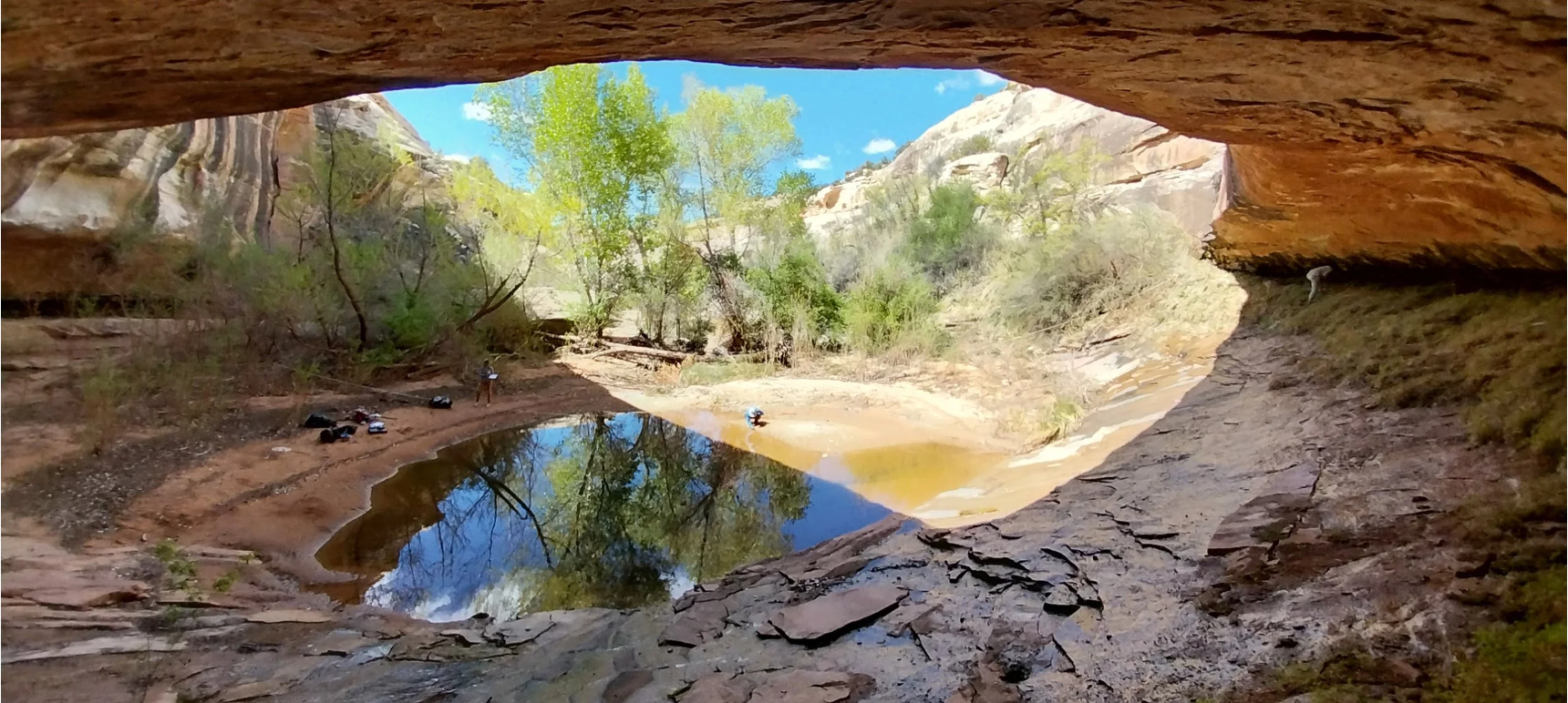 Canyon spring pool