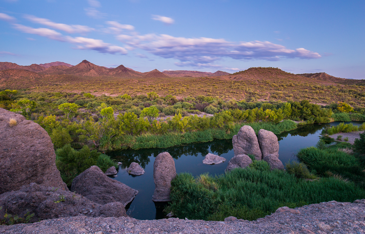 Spring-fed desert river landscape