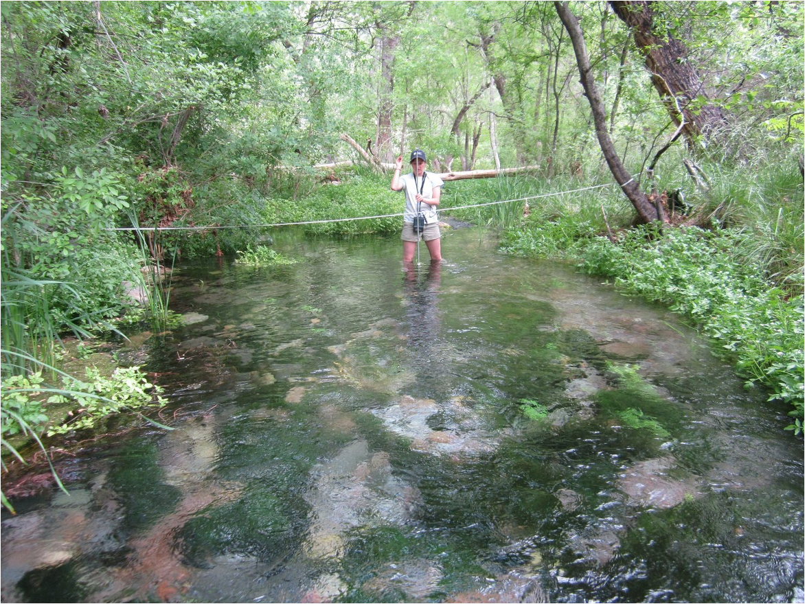 Spring field assessment