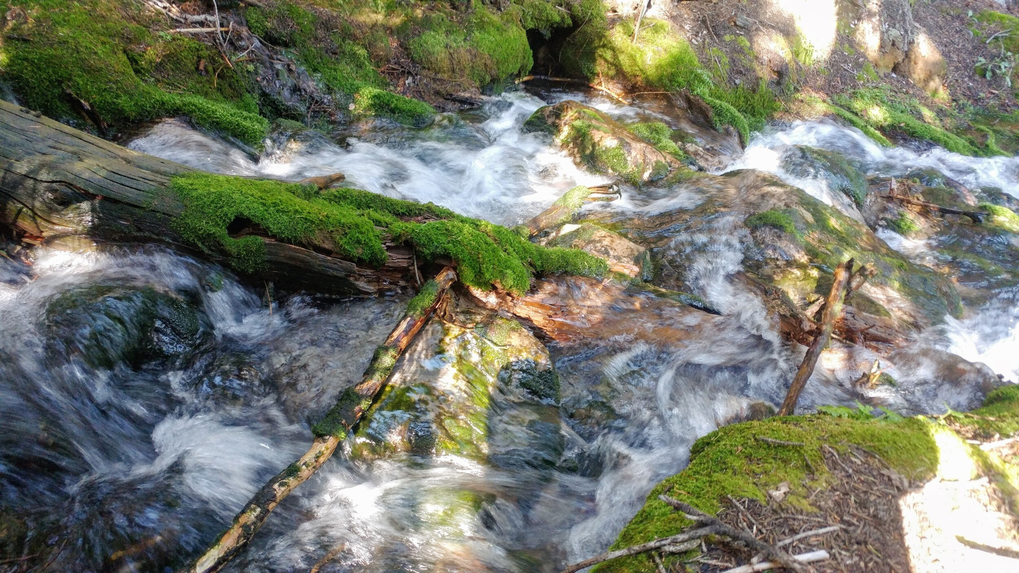 Spring stream flowing through a canyon landscape