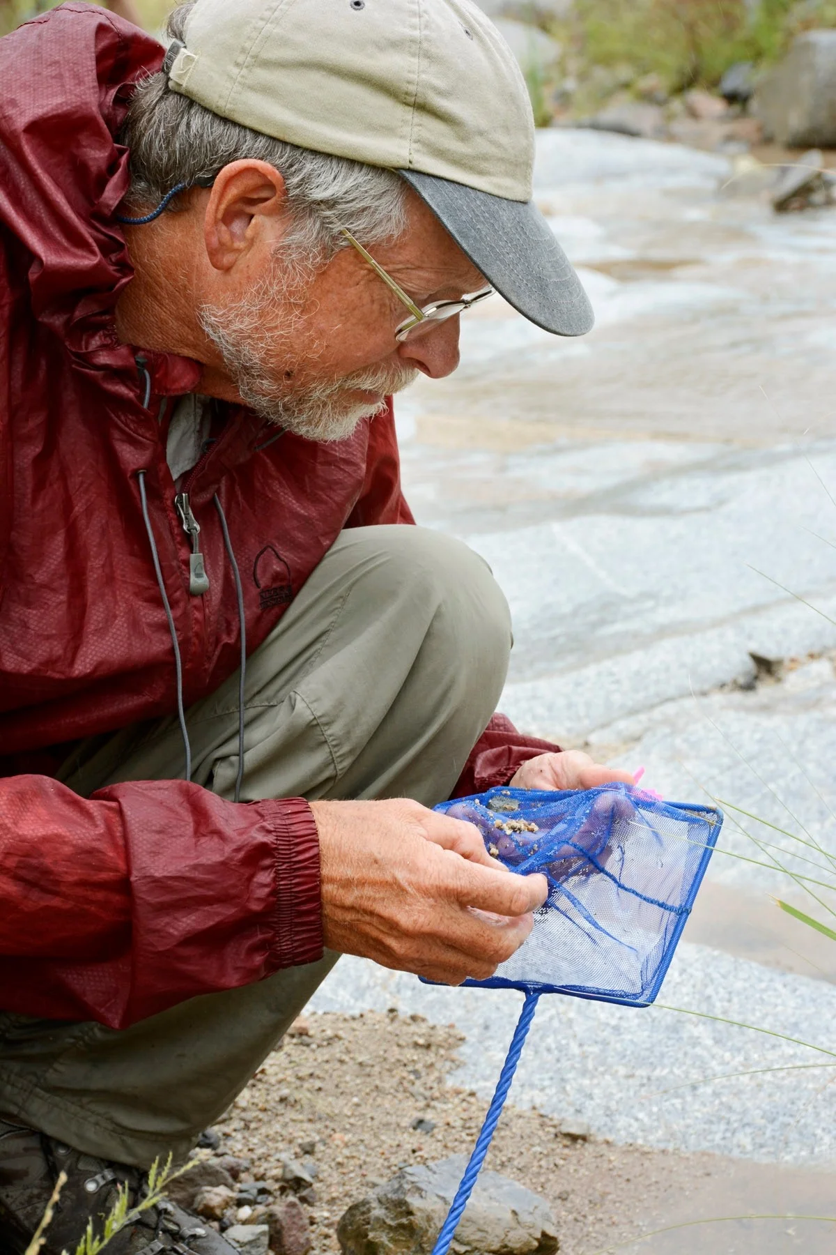 Lawrence Stevens, Ph.D.