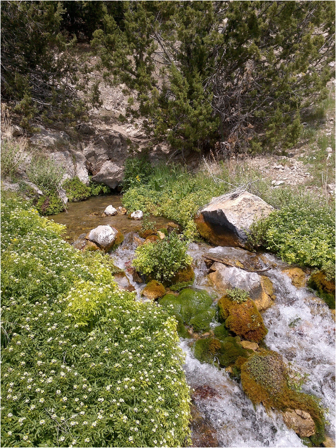 Flowing spring